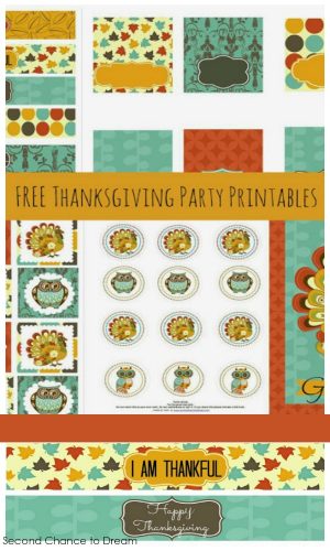 Second Chance To Dream - Free Thanksgiving Party Printables Set 1