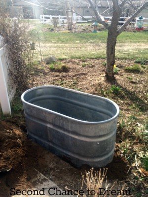 Second Chance To Dream - Herb Garden in a Recycled Water Trough