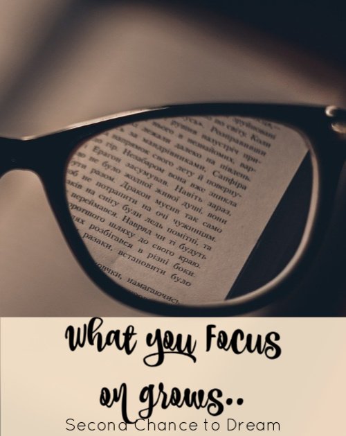 Barb Camp - What you focus on grows...